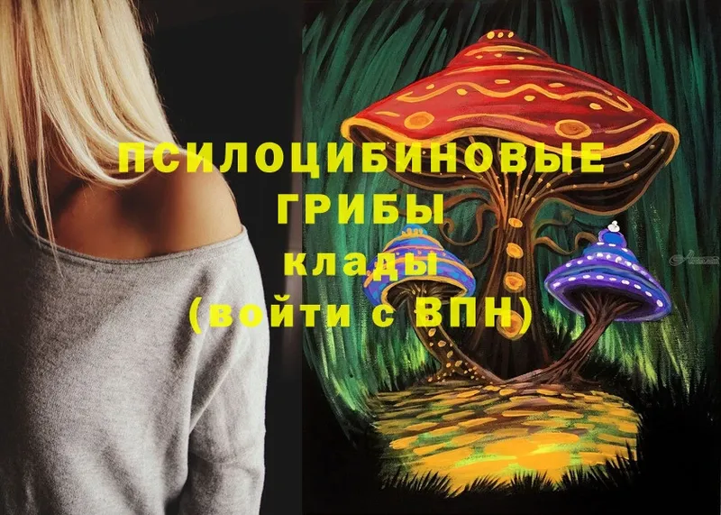 Галлюциногенные грибы Psilocybine cubensis  Буй 